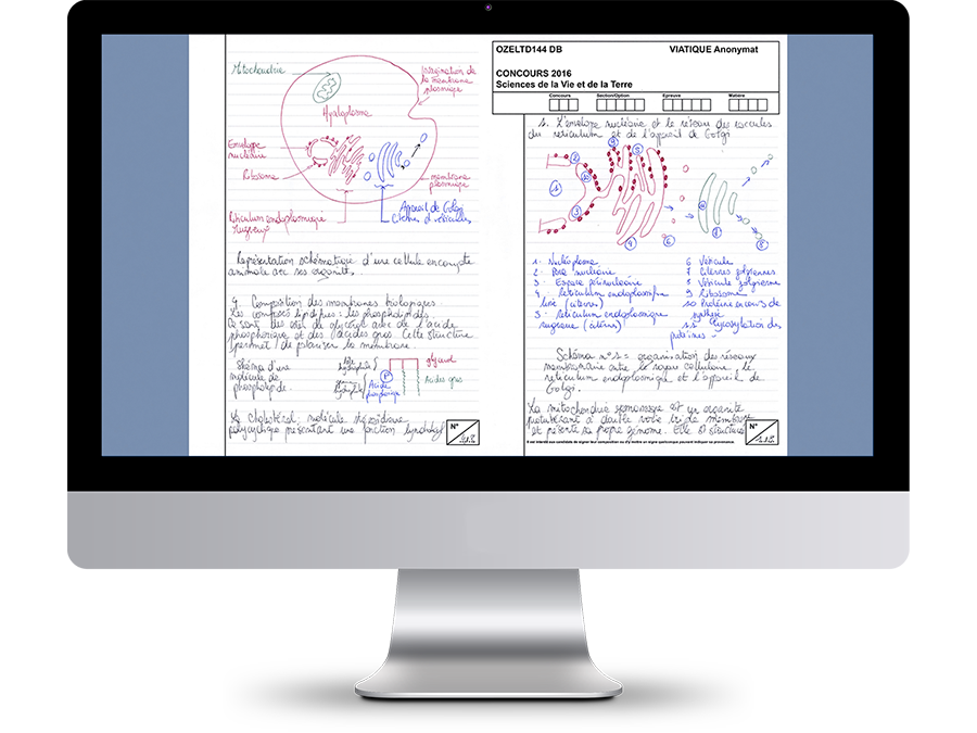 on-screen dematerialised correction