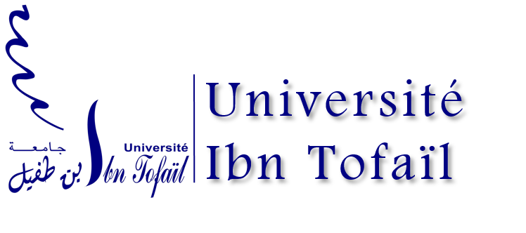 université-Ibn-Tofail-de-Kénitra
