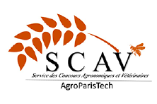 SCAV : Brand Short Description Type Here.